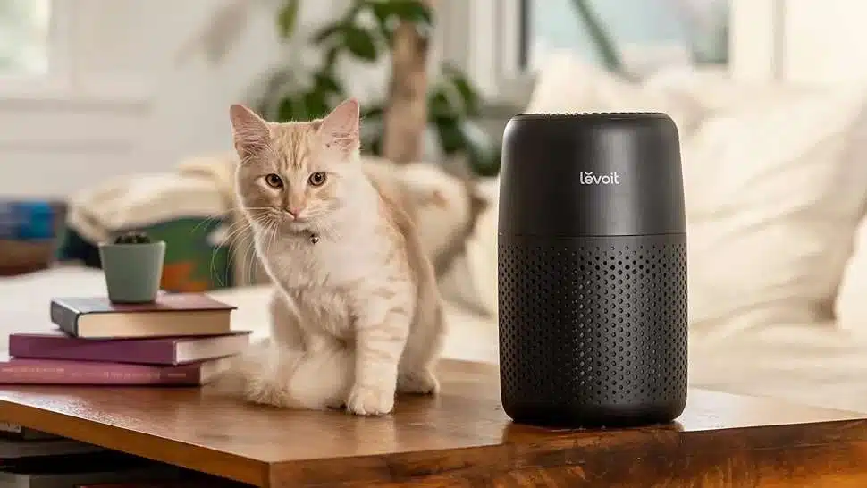 Essential Electronic Air Cleaners for a Healthier Home 1 Electronic Air Cleaners
