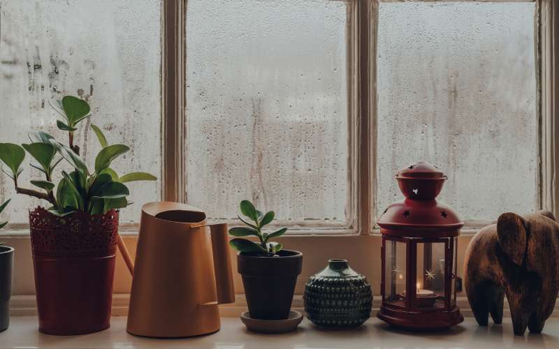 Common Signs of Humidity Issues in Your House