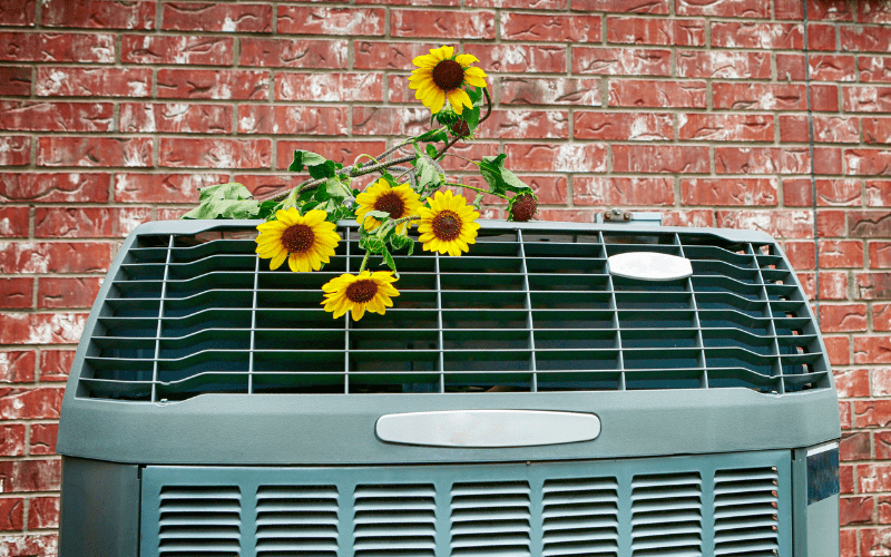 Prepare Air Conditioner for Summer